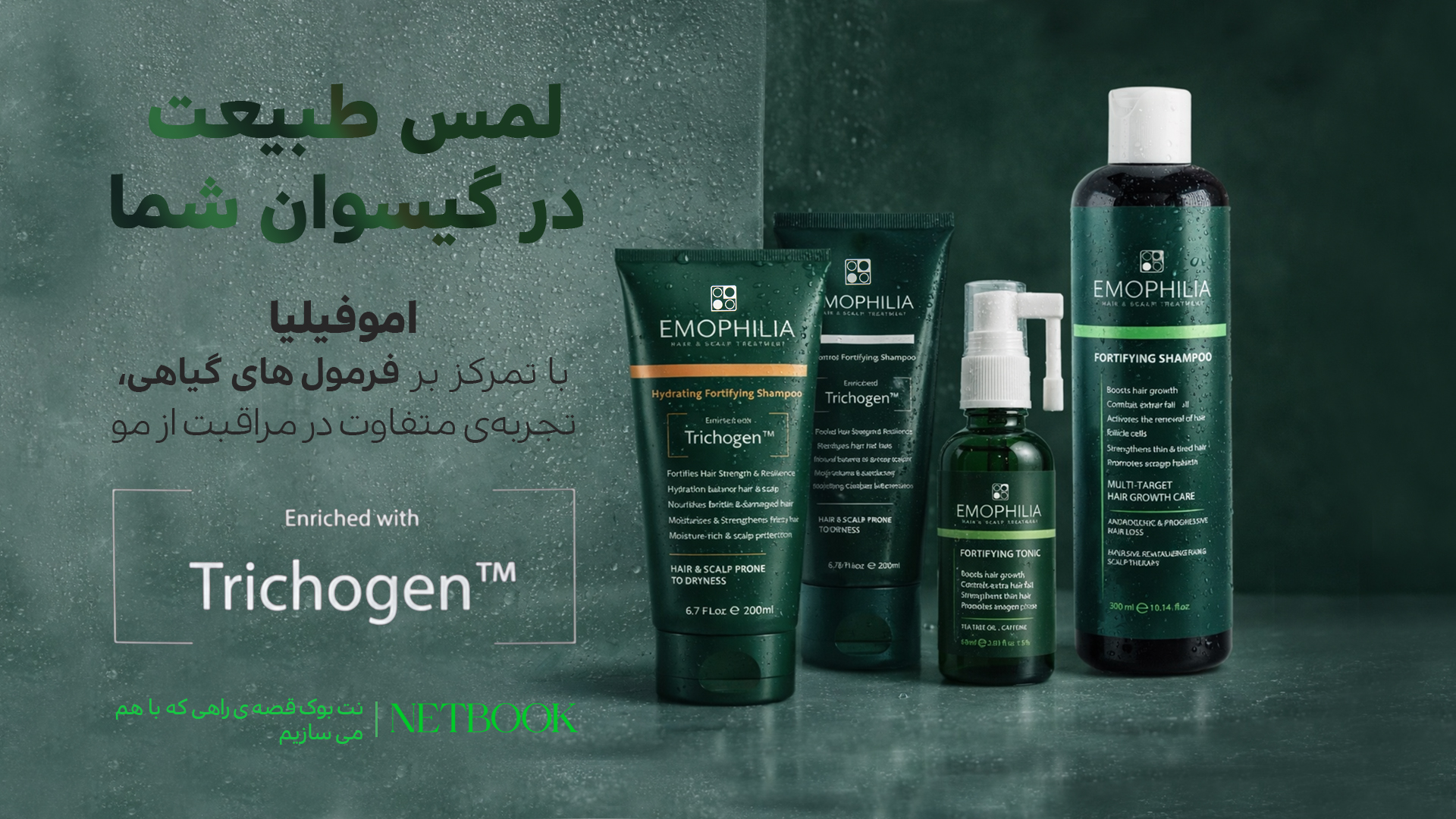 IMG_20260206_191940_441